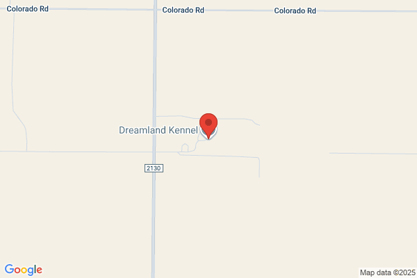 Dreamland Kennel
