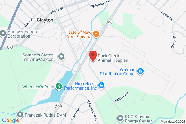 Smyrna Animal Hospital
