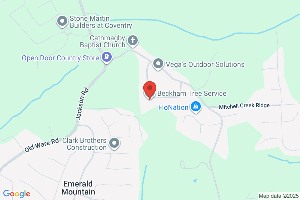 Beckham Tree Service
