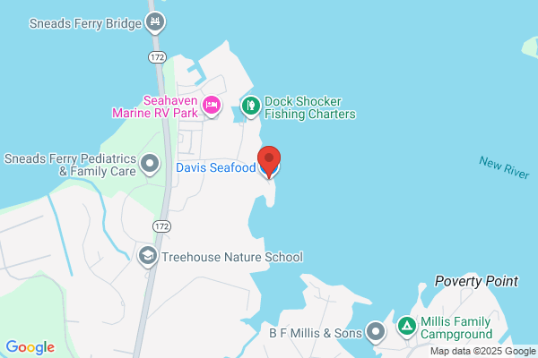 Davis Seafood Inc