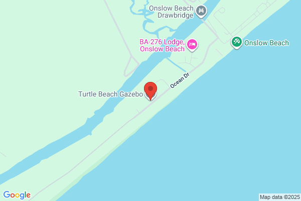 Green Turtle the