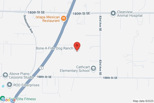 Bone A Fide Dog Ranch