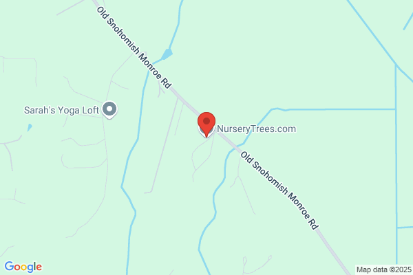 Nurserytrees.Com