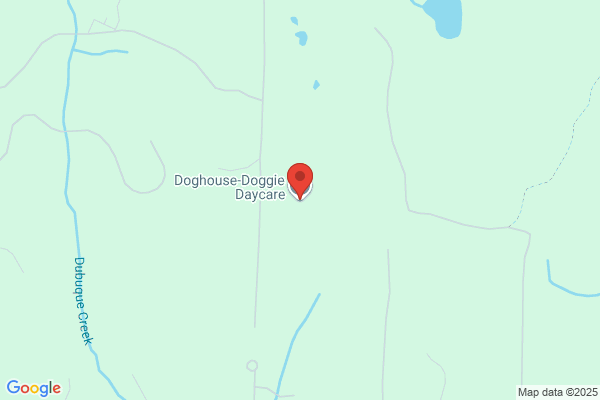Doghouse Doggie Daycare the