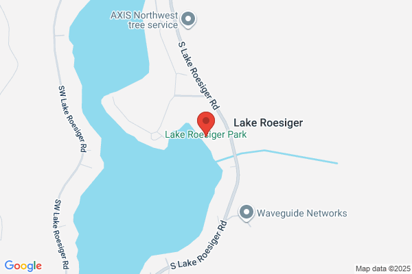 Lake Roesiger Realty
