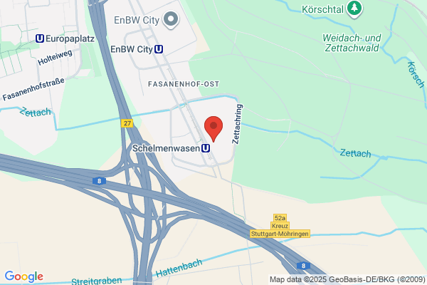 Place Consultants