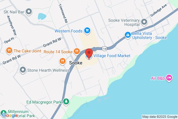 Village Food Markets Inc