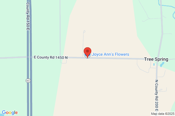 Joyce Ann's Flowers & Gifts