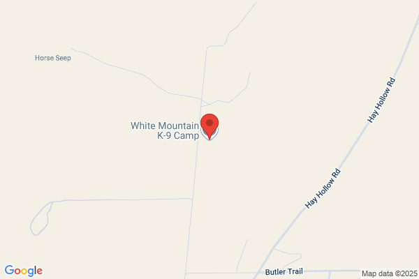Willowwynde Kennel