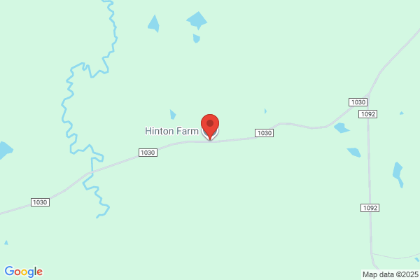 Hinton C & S Farms