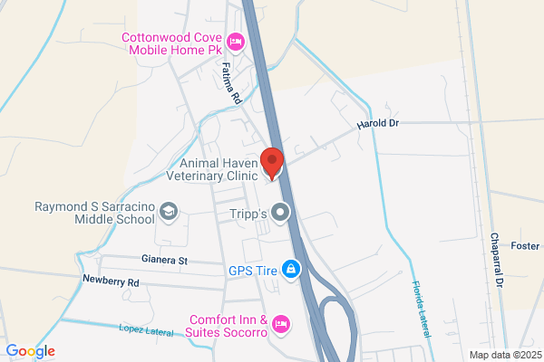 ANIMAL HAVEN VETERINARY CLINIC OF SOCORRO PC