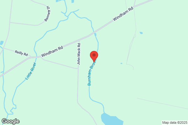 Burnham Brook