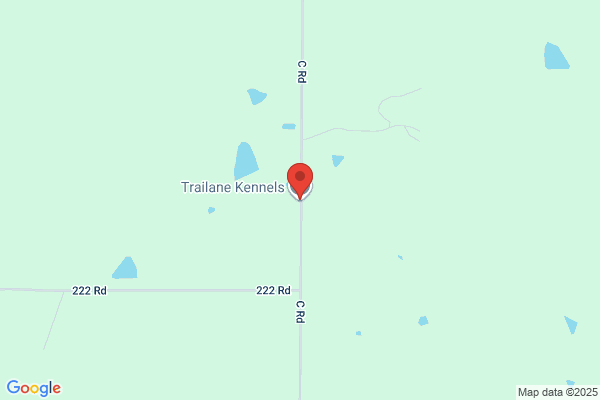 Trailane Kennels