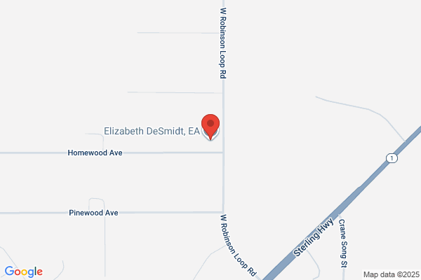 Elizabeth Desmidt Bookkeeping & Tax Service
