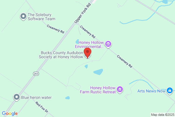 Bucks County Audubon Society