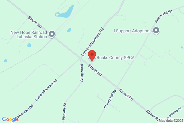 Bucks County Society Prevention of Cruelty To Animals