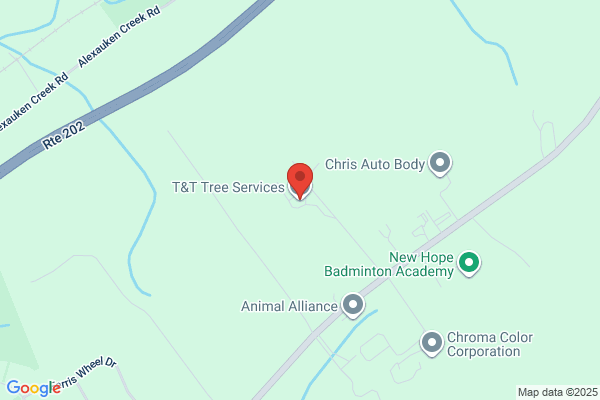 T & T Tree Service Inc