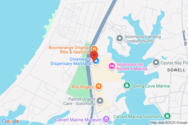 Sea Dive and Cycle