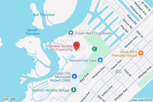South Jersey Animal Services