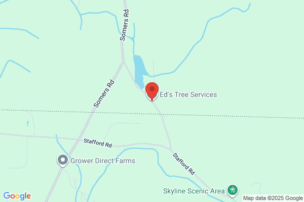 Ed's Tree Service