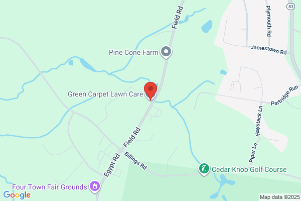 Green Carpet Lawn Care LLC