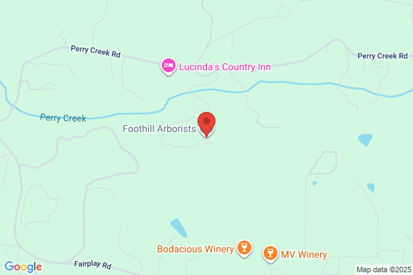Foothill Arborists