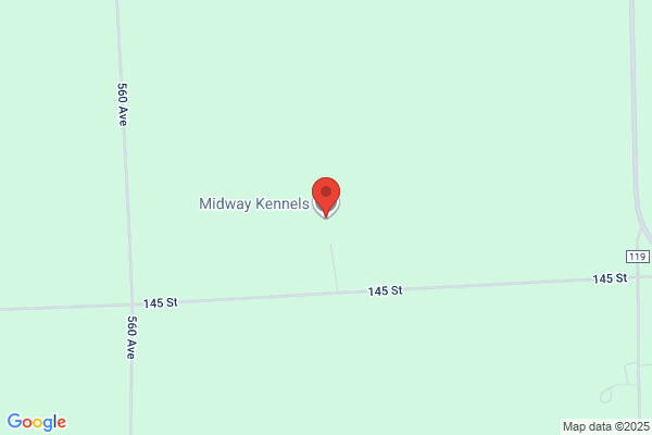 Midway Kennels
