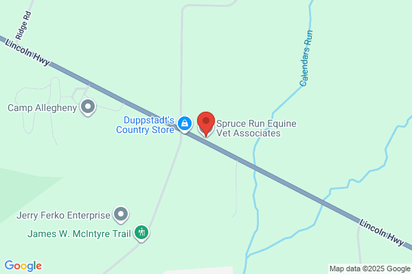 Spruce Run Equine Veterinary Associates