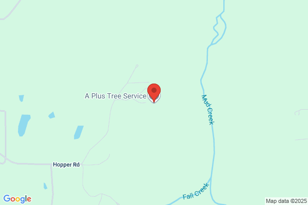 A-Plus Tree Service