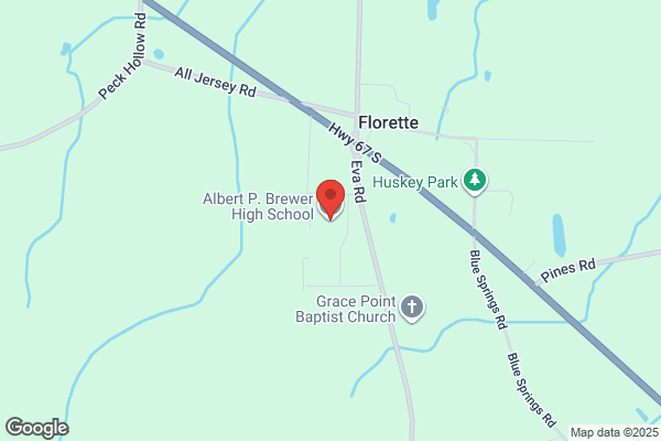 Albert P Brewer High School