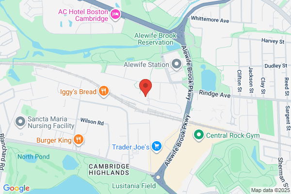 Hanover Alewife