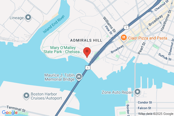 Boston Architectural Team