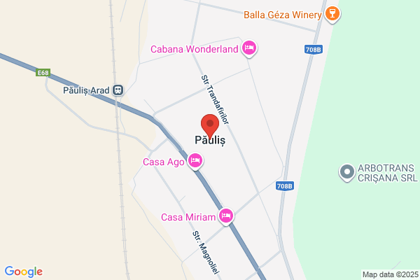 Pauli's