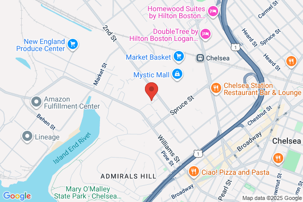 Hampton Inn Boston Logan Airport Chelsea