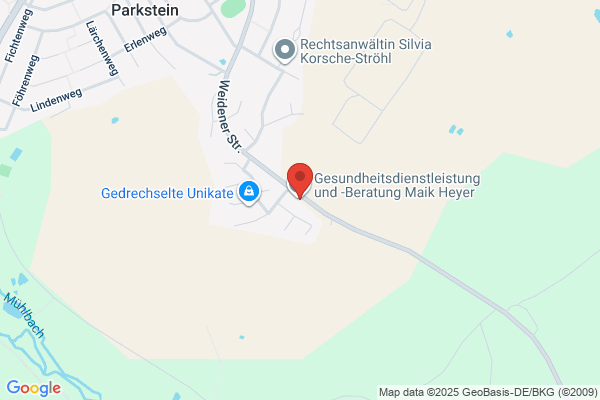 Pasek