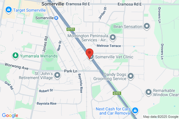 Somerville Medical Clinic