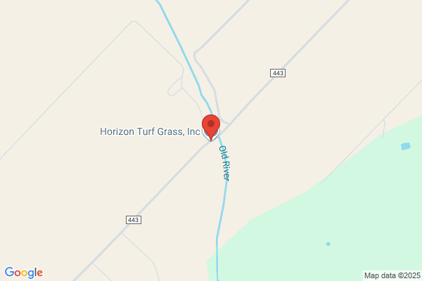 Horizon Turf Grass