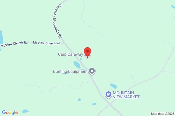 Carp Caraway