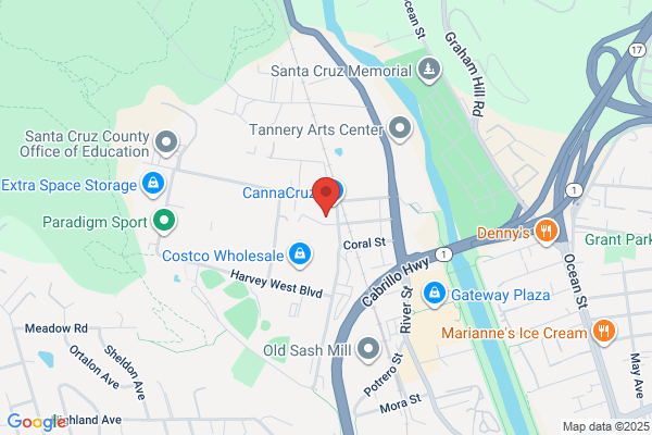 Shelley's Biscotti