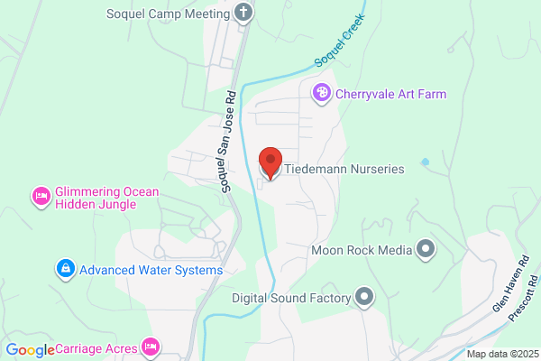 Tiedemann Nurseries