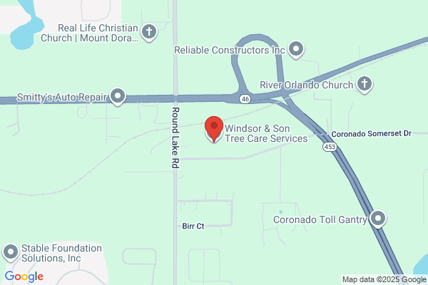 Windsor & Son Tree Care Services