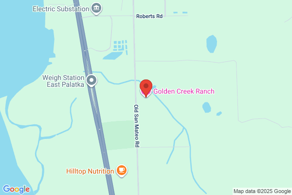 Golden Chance Farm
