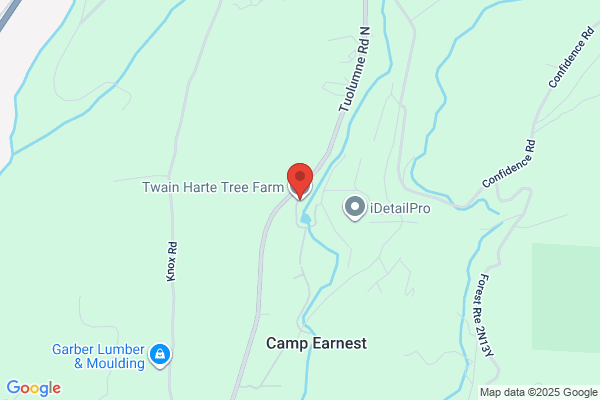 Twain Harte Tree Farm