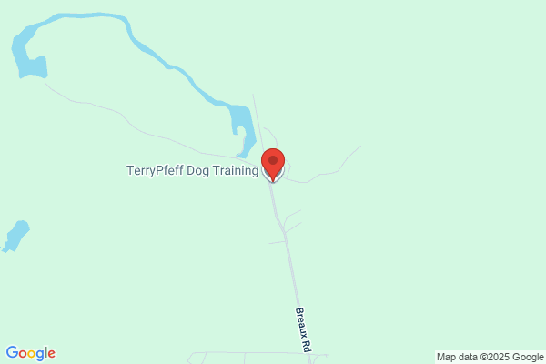 TerryPfeff Dog Training