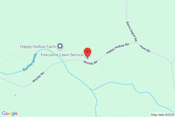 Executive Lawn Services