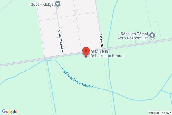 Delo-Mi Kennels