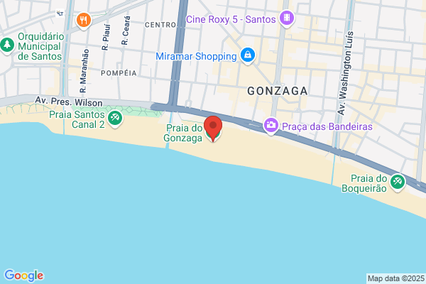 Vicente Gonzaga, MD - Epworth Hospital