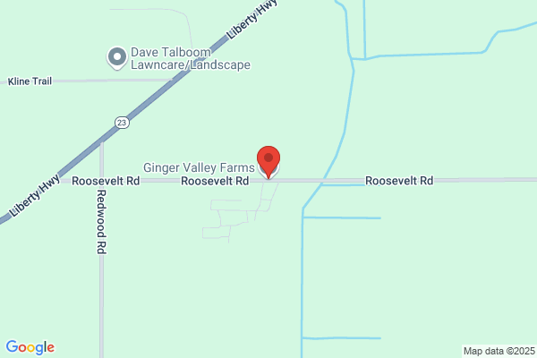 Ginger Valley South Bend
