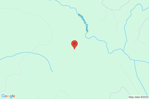 Pacific County, Auditor/General