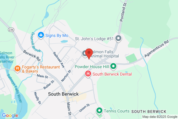 South Berwick Veterinary Hospital